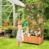 Raised Garden Bed with Trellis and Hanging Roof-Natural