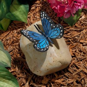 PAPILIO ULYSSES BUTTERFLY ON ROCK STATUE