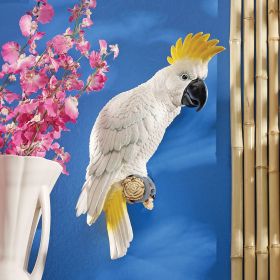 SULPHUR CRESTED COCKATOO