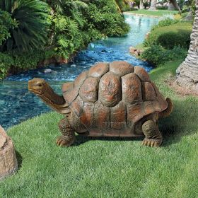 THE CAGEY TORTOISE STATUE