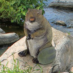 STANDING BEAVER STATUE