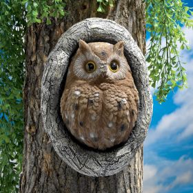 OCTAVIUS KNOT HOLE OWL