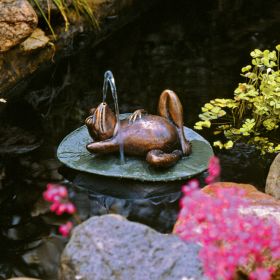 SPITTING FROG ON LILY PAD