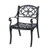 2 Piece Outdoor Dining Chairs, Cast Aluminum Chairs with Armrest, Patio Bistro Chair Set of 2 for Garden, Backyard (Flower pattern 2 Chairs)